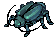 Thief Bug (male)