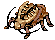 Golden Bug
