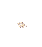 Ant Egg