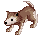Desert Wolf B