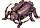 Md Thief Bug